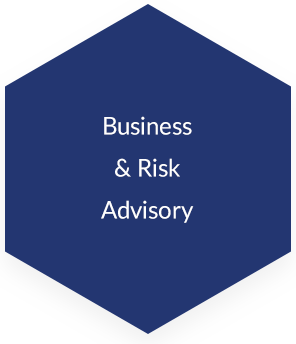 Business and Risk Advisory Services