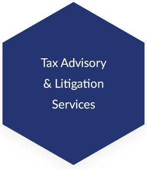 Tax Advisory and Litigation Services