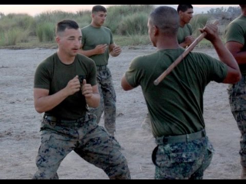 COMBATIVES, UNITED STATES OF AMERICA