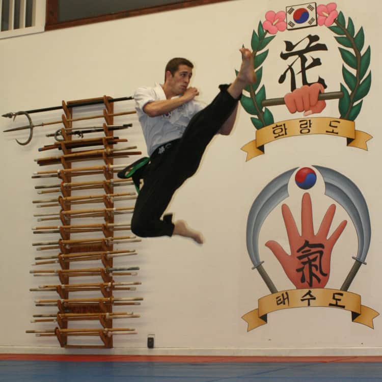 HWA RANG DO, SOUTH KOREA