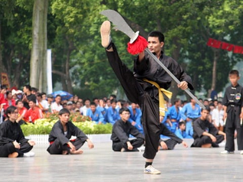 VO THUAT BINH DINH, VIETNAM